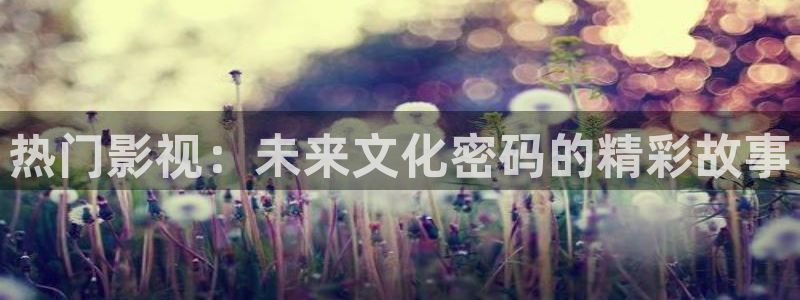 韩国影视大全：热门影视：未来文化密码的精彩故事