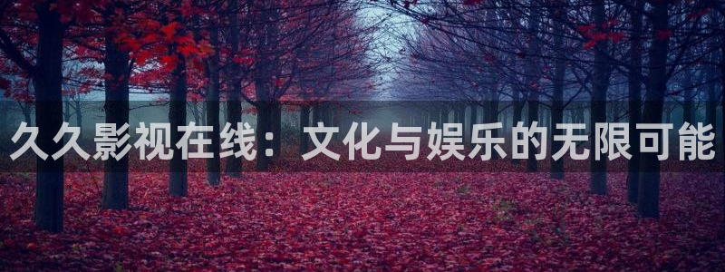 穿梭在韩国影视世界的小说：久久影视在线：文化与娱乐的无限可能
