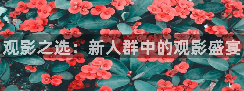 韩国影视免费观看：观影之选：新人群中的观影盛宴