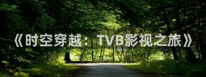 成人韩国影视：《时空穿越：TVB影视之旅》